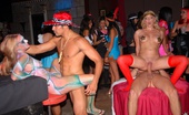 Reality Kings kodi 32455 3 halloween sex party babes get fucked in their naked cat painted bodys hot club fucking group sex pics
