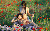 Met Art Rita B & Tanya C Harvest by Goncharov 38454 Two beautiful figure models in a sea of red flowers.
