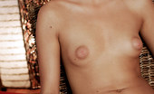 Met Art Sybille A Trinikas by Giovanni Nova 38546 Youthful perky blonde with large excited nipples gets a little wild.
