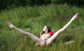 Met Art Natasha S 19 by Volkov 38826 This natural brunette plays in the tall grass and lets the world see her beauty.
