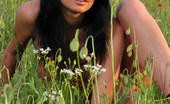 Met Art Anna AP Hikani by Alex Deonisius 39026 Anna has dark full hair and tanned smooth skin and is out in the fields for this one.
