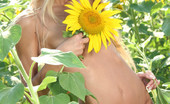 Met Art Volna A Podsol by Alan Anar 39506 2.&#38;#9;Sun drenched blonde Volna frolics naturally in a field of sunflowers.
