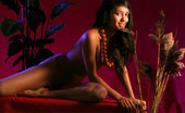 Met Art Lissa A Ethernia by Rigin 39832 Sensual exotic dark featured girl looks like the princess of the island.

