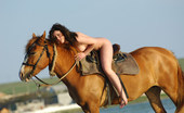 Met Art Felisia A Felisia by Goncharov 40353 Running down the beach on a stallion this natural naked girl gets all lathered up.
