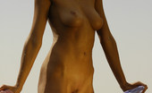 Met Art Natali D Regions by Slastyonoff 41446 Sexy model gets a bit dirty as she immerses herself in a river while naked in Africa.
