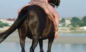 Met Art Sofi A & Vella B Vivendi by Goncharov 41786 Horses and Sofi and Vella oh my, playing on the beach or riding bare back.
