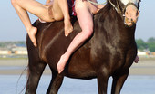 Met Art Sofi A & Vella B Vivendi by Goncharov 41786 Horses and Sofi and Vella oh my, playing on the beach or riding bare back.
