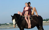 Met Art Sofi A & Vella B Vivendi by Goncharov 41786 Horses and Sofi and Vella oh my, playing on the beach or riding bare back.
