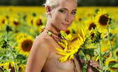 Met Art Adele B Tournesol by Tony Murano 45119 Amidst a large field of sunflowers in full bloom, Adele's natural beauty is the fairest of them all as she confidently poses her gorgeous body with perfectly erect nipples under the warm sun.
