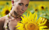 Met Art Adele B Tournesol by Tony Murano 45119 Amidst a large field of sunflowers in full bloom, Adele's natural beauty is the fairest of them all as she confidently poses her gorgeous body with perfectly erect nipples under the warm sun.
