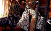 Playboy Elan Carter 51936 Elan Carter