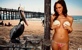 Playboy Brittany Binger 52165 Brittany Binger
