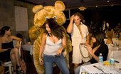  59061 Dancing Bear Hot CFNM party
