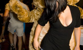  59062 Dancing Bear Girls going crazy for stripper cock
