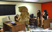  59100 Dancing Bear Cock hungry girls at the office

