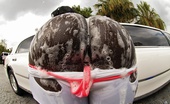 Round And Brown bubbles 60336 Beautiful hot big ass black babe gets nailed in her set soapy pussy in these bikini car wash fuck pics
