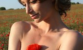 Femjoy Abby Santiago Aztek Poppies
