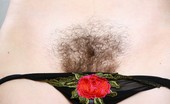We Are Hairy Sasha An intimate session with sexy Sasha 73710 Sasha is at her natural best in her sexy red lingerie and cute little knickers. What a thick bush she has...
