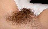 We Are Hairy Sadie Matthews Sadie Matthews in sexy see through lingerie 74109 Unbelievable. Sadie Matthews could make anyone hard with her beautiful body and perfect hairy pussy. A true natural treasure in sexy black lingerie.
