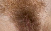 We Are Hairy Ginger Gorgeous brunette Ginger debuts her hairy bush 74808 Blue looks great on the gorgeous Ginger, but she looks even better naked. She pulls her blue dress down revealing her perky tits, then pulls it up to debut her hairy pussy to the world.
