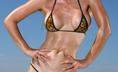 Bikini Riot Heather Vandeven 84776 Heather Vandeven Strips Exotic Leopard G-string Bikini
