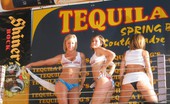 Nebraska Coeds 93758 030003springbreaksouthpadrenecoedsteam iroc235 15pic 030003 spring break south padre necoeds team 2
