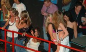 Nebraska Coeds 94108 031210springbreakclublimonatalielaikynlesbianfest raventest4vid8pic 031210 springbreak club limo natalie laikyn lesbianfest mpg 5
