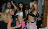 In The VIP summer 99094 Hot blonde parties in the club then gets some cum in her face later
