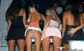 In The VIP sasha 99100 Outrageous club babes are gettin down and dirty right on the dance floor
