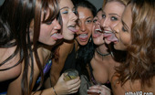In The VIP payton 99151 Awsome babes party hard in the club and then go home to bang in these hot pix
