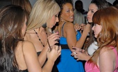 In The VIP brandi 99193 This hot babes hit the club in search of sex in these 3min video
