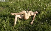 Amour Angels Kate DANDELIONS 106293 The loveliest teen girl enjoys her nudity outdoors, showing her body without any commitments.
