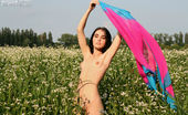 Amour Angels Iva VIRGINITY 106687 Stunning teen girl with tiny tits posing naked in the summer field full of wild flowers.