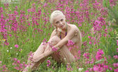 Amour Angels Linda BRIGHT SUMMER 106705 Slender and flexible teen blonde poses naked in the field spreading her gorgeous legs wide.