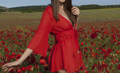 Amour Angels Maya RED POPPIES 106731 Beautiful teen girl gets naked in the poppy field and shows off her pretty tits and pussy.