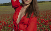 Amour Angels Maya RED POPPIES 106731 Beautiful teen girl gets naked in the poppy field and shows off her pretty tits and pussy.