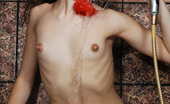 Amour Angels Anna PURE DELIGHTS 106918 Amazing dark haired teen with a bow at the neck washing tempting shapely body in the bath.