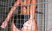 Tiffany Preston Steel cage stripping 110855 Here you can enjoy watching me stripping in a cage like a captive wild animal.Taking my clothes off and offering you greatest close up of my ass.
