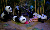 Bound Gangbangs 118818 Panda Gangbang!!!!! Beautiful brunette fantasizes about being followed and gangbanged by a pack of angry panda bears!!! Furry gangbang! 
