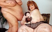 BBW Sex Videos 119157 Big Beautiful Fat Bitch Posing in Black Panty
