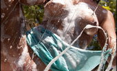 Wet Naked Car Wash Foxes.com Annalisa Greco 122355 Wet Shirt Carwash Babe
