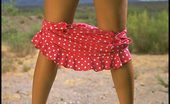 Little Short Skirt Foxes.com Sunny Leone 122531 Hairy Pussy under Short Skirt
