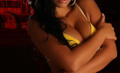 Alluring Vixens Suelyn 123795 Busty Vixen Suelyn Shows Off In Yellow Lace Bra And Panties
