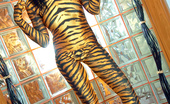 Cosmid.net Adrianne Black 128018 Tiger Stripes
