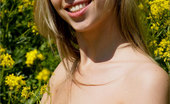MPL Studios 128852 Angelica Fresh Flowers
