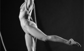 MPL Studios 129244 Lera Bound Determined
