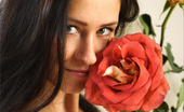 MPL Studios 129331 Maria Five Roses 2
