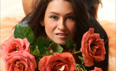 MPL Studios 129331 Maria Five Roses 2
