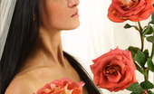 MPL Studios 129331 Maria Five Roses 2
