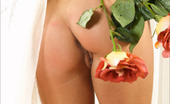 MPL Studios 129331 Maria Five Roses 2
